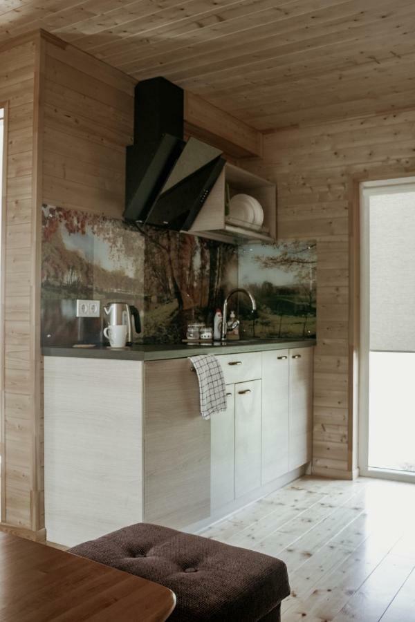 Villa Atputas Baze Ods Lofts à Bārta Extérieur photo